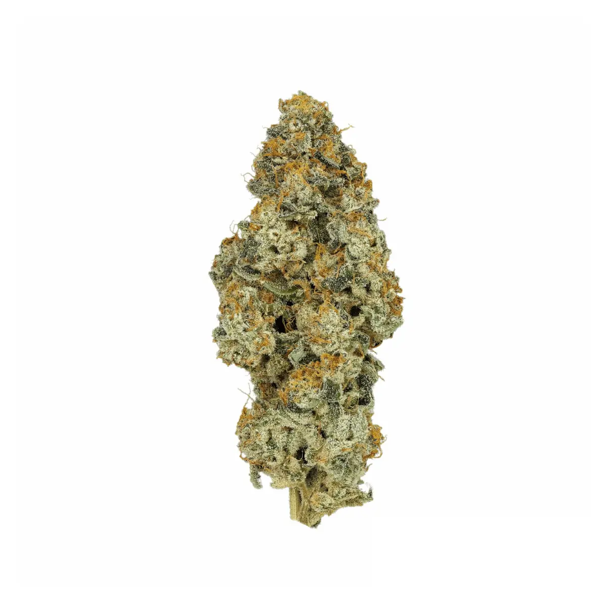 Cannamedical CM 28/1 PO